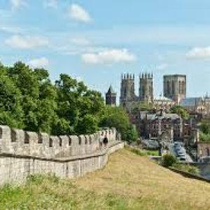 TPP Invigilation York