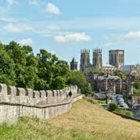 TPP Invigilation York